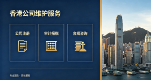 公司维护